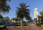 Tamworth NSW - Plan a Holiday - Find Hotels, Festivals & More