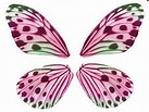 Dibujos y Plantillas para imprimir: Alas de mariposa para imrimir, con ...