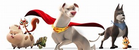 DC League of Super-Pets | Videos and Downloads | Cartoon Network