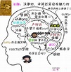 [青春不敗]G7+主持人 大腦構造圖＠Complicated｜PChome Online 個人新聞台