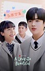 "A Love So Beautiful" (2020 Web Drama): Cast & Summary - Kpopmap