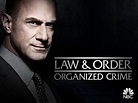 Watch Law & Order: Organized Crime, Season 1 | Prime Video