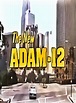 The New Adam-12 (TV Series 1990–1991) - IMDb