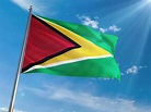 The Flag of Guyana: History, Meaning, and Symbolism - TheUsaToday.news