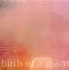 Bill Rieflin – Birth Of A Giant (1999, CD) - Discogs