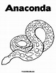 Anacondas para colorear - Imagui