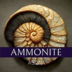 What Is Ammonite Properties And Uses Ammonite Stone