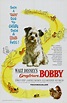 Greyfriars Bobby - Película 1961 - SensaCine.com
