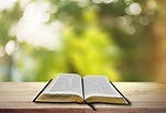 Libro de la santa biblia en el fondo | Foto Premium