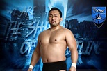 Hideki Suzuki – The Shield Of Wrestling