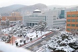 Dankook University, Seoul - Global Admissions