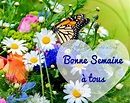 ᐅ 131 Bonne semaine images, photos et illustrations pour whatsapp ...