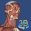 3D Anatomy heute gratis: 3D-Modell des menschlichen Körpers