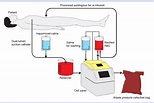Cell salvage as part of a blood conservation strategy in anaesthesia ...