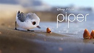 Watch Piper | Full Movie | Disney+