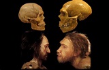 Neandertales y sapiens se cruzaron hace más de 100.000 años