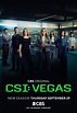 First 'CSI: Vegas' Season 2 Promo Teases Catherine's Return & Eerie ...