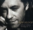 Amazon.co.jp: Great Songs of Indifference: The Bob Geldof: ミュージック