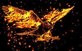 Beautiful Fire Wallpapers - Top Free Beautiful Fire Backgrounds ...