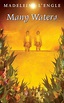 Many Waters (A Wrinkle in Time Quintet, #4) by Madeleine L'Engle
