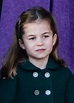 Princess Charlotte heartbreak: Little royal’s challenges revealed | New ...