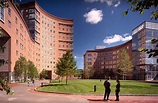 Northeastern University Boston (Boston, Massachusetts, USA) - apply ...