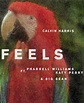 Calvin Harris: Feels (Vídeo musical) (2017) - FilmAffinity