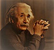 TODO MUNDO É UM GÊNIO - Albert Einstein