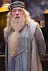 Dumbledore | Harry Potter | Harry potter movies