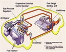 Fuel System Diagram