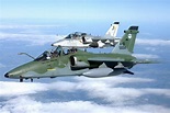 Dia da Força Aérea Brasileira – 11 de outubro - Datas Comemorativas ...