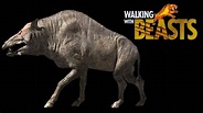 Walking With Beasts [2001] - Entelodon Screen Time - YouTube
