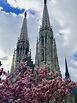 The Best Time to Visit Vienna - 5+ arguments for springtime - Vienna ...
