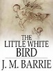 El Espejo Gótico: El pequeño pájaro blanco: J.M. Barrie