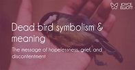 Dead Bird Symbolism and Meaning: It’s Time For Change and ...