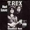 T. Rex. Hot Love 1971 | Music album covers, Marc bolan, T rex band