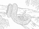 Dibujos para colorear: Anaconda imprimible, gratis, para los niños y ...