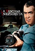 La ventana indiscreta - película: Ver online en español