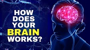 How Does Your Mind Works | Human Mind | Facts about Brain - YouTube