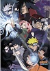 Naruto Shippūden (TV Series 2007-2017) - Posters — The Movie Database ...