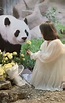 旅泰大熊猫“林惠”去世，死亡保险金额披露！泰国民众悼念_腾讯新闻