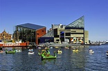 National Aquarium in Baltimore, Maryland image - Free stock photo ...