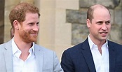 Prince Harry news: Prince William and Duke of Sussex split explained ...
