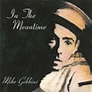 Mike Gibbins - In The Meantime (2003, CD) | Discogs