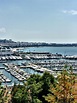 5 coisas para fazer em Cannes | Dicas da Côte D'Azur | You Must Go!