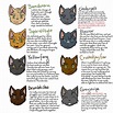 Warrior Cats Herbs List And Uses