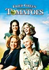 Fried Green Tomatoes - Where to Watch and Stream - TV Guide