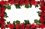 Red roses frame. — Stock Photo © Vitaina #60197453