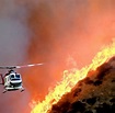 Kalifornien: Tausende flüchten vor dem Feuersturm - WELT