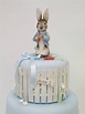 Emma Jayne Cake Design I Peter Rabbit Cake | Peter rabbit cake, Peter ...